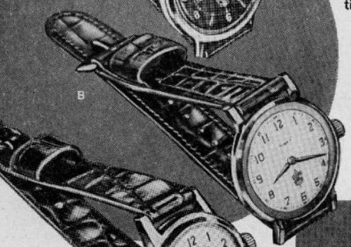 timex scout watch 2010 2258