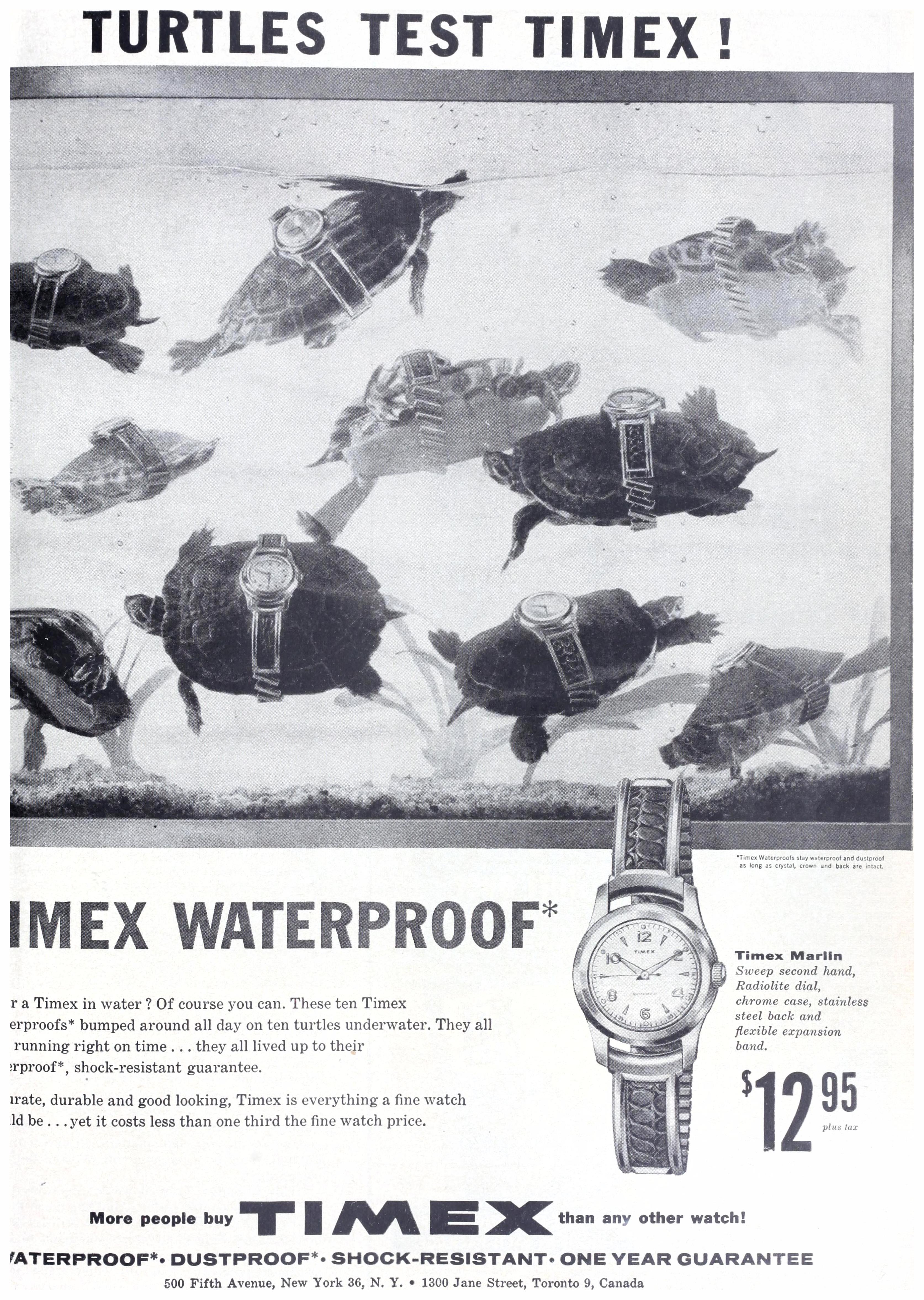 timex 1956 ad