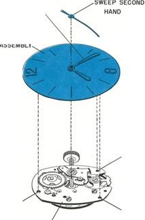 Timex M24 service manual - Removing the dial and hands